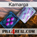 Kamarga 37